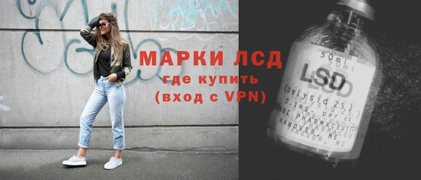 прущий лед Алзамай