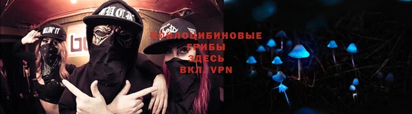 винт Алексеевка