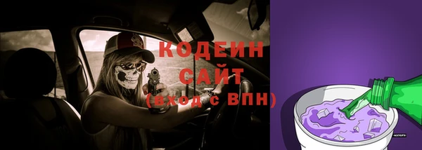 прущий лед Алзамай