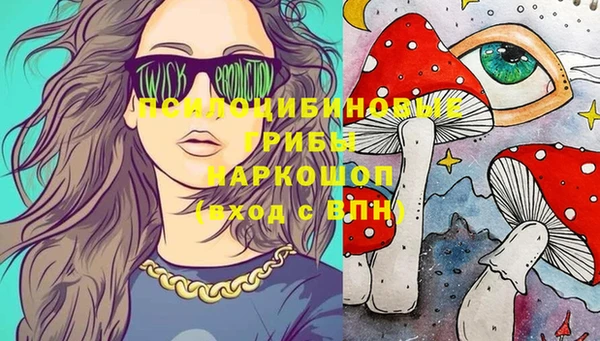 винт Алексеевка