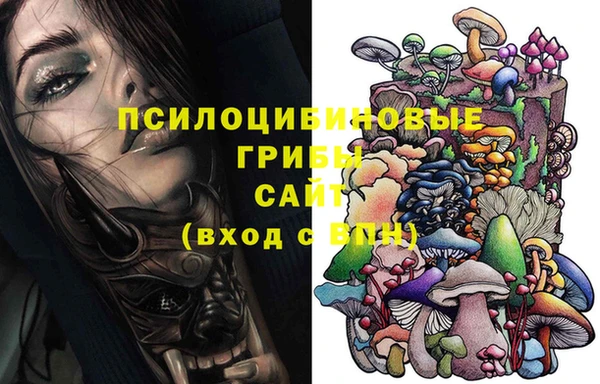 спайс Абаза