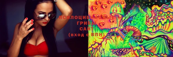 спиды Алексин
