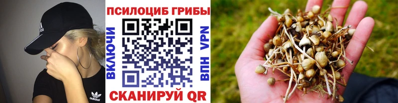 наркота  Томари  Псилоцибиновые грибы мухоморы 